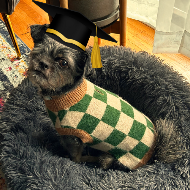 Greta's College Fund (Venmo Option)