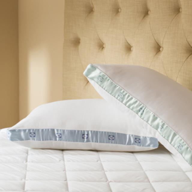 Sealy Cotton Sateen 300 Thread Count Medium Density Pillows (Set of 2)