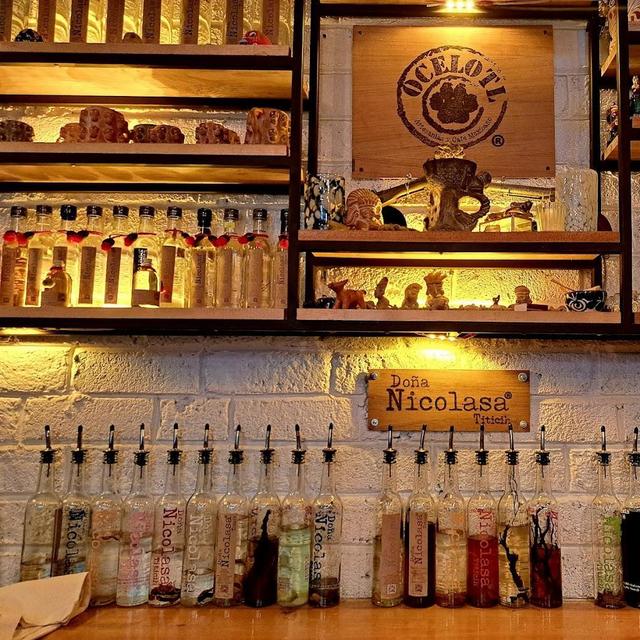 Ocelotl Tradicional Mexican Coffee