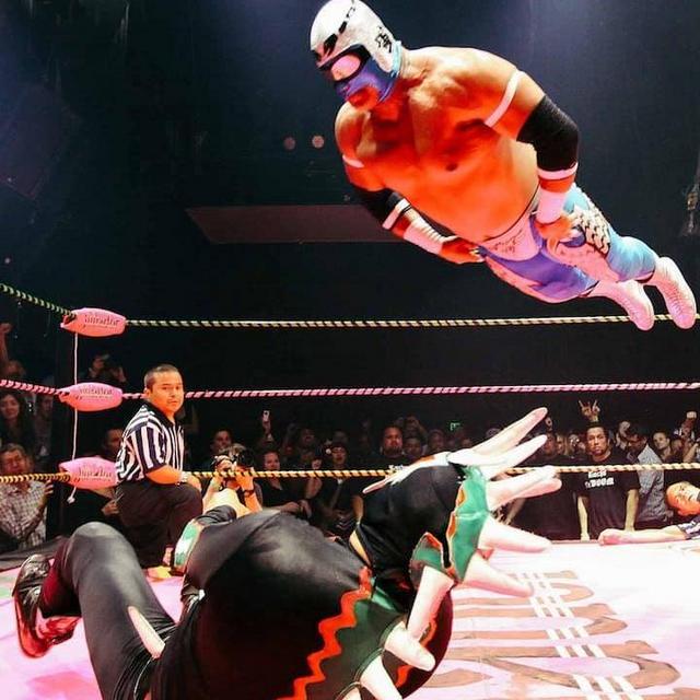 Lucha+Tacos+Cervezas
