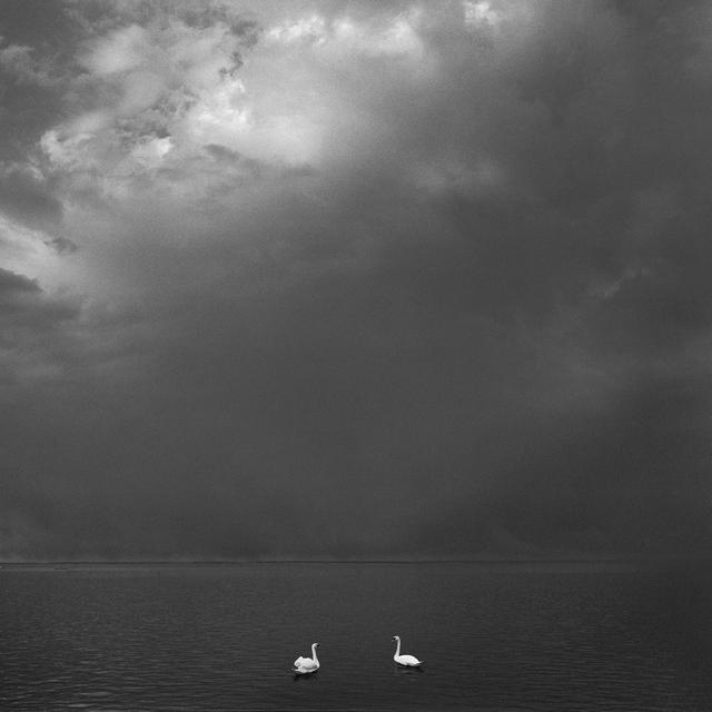 Pentti Sammallahti - Kirkkonummi, Finland 2016