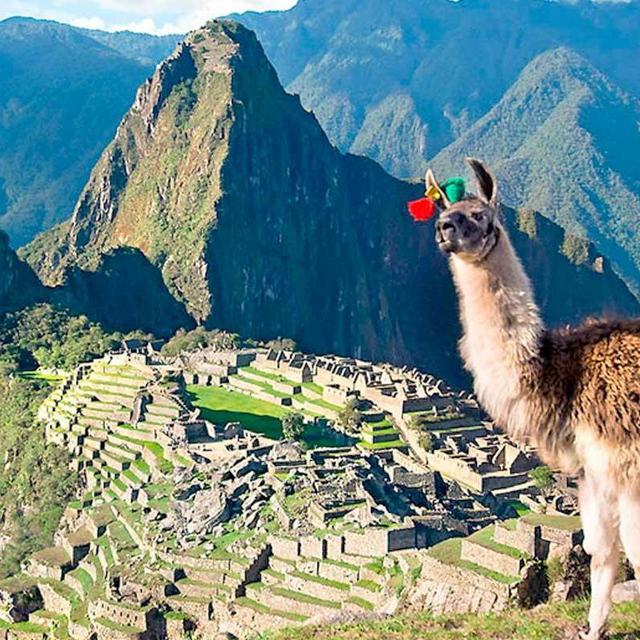 Machu Picchu Trip