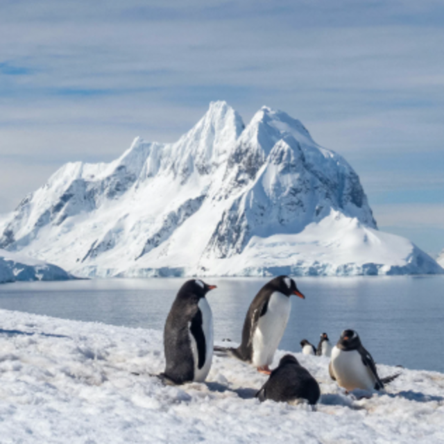 Antarctica Trip