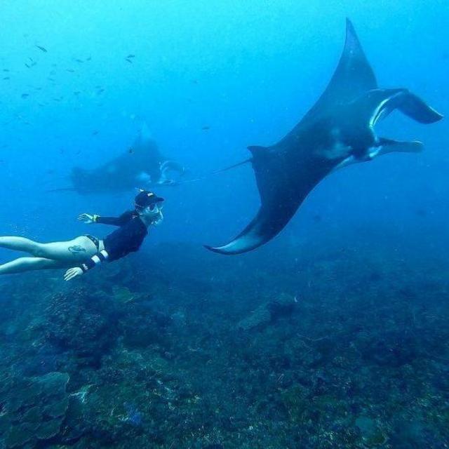 Manta Ray Snorkel Trip to Nusa Penida
