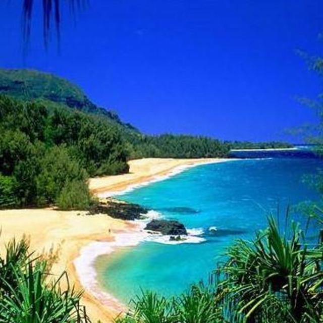 Our Hawaii Honeymoon Fund