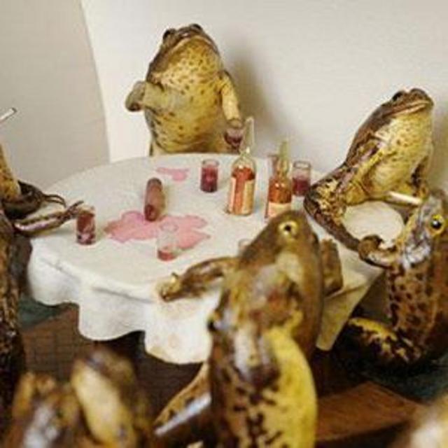 FroggyLand Day (Google it. It's a thing)