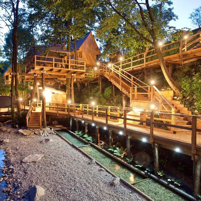 Treehouse Honeymoon Retreat in Slovenia