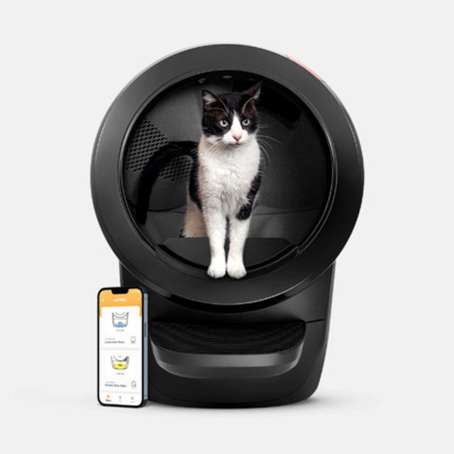 Automatic Cat Litter