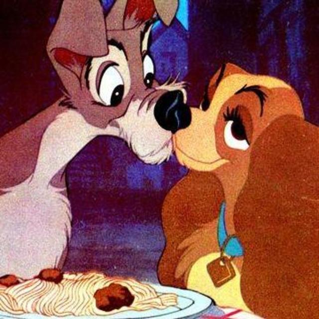 Romantic Honeymoon Dinner