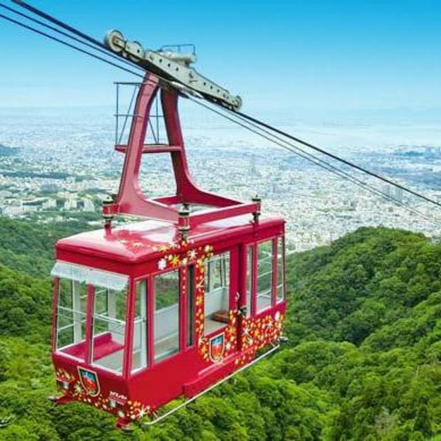 Honeymoon Excursion: Mt. Rokko Views & Sake Tasting
