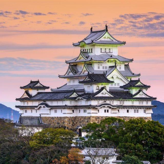 Honeymoon Excursion: Himeji Castle & Iconic Kobe Beef Tasting