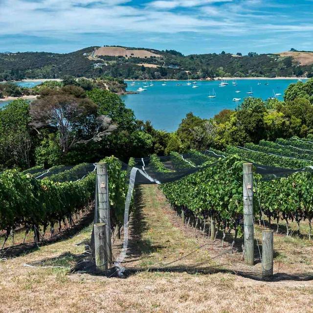 The Essence of Waiheke Wine Tour