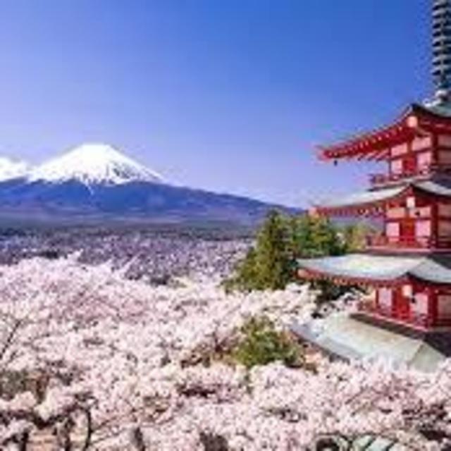 Japan Honeymoon Fund