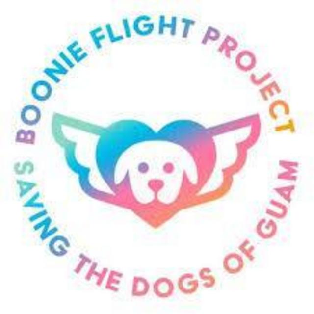Boonie Flight Project