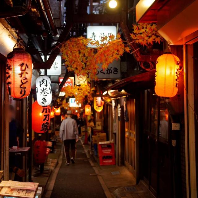 Honeymoon Fund - Japan (Venmo-No Fee)