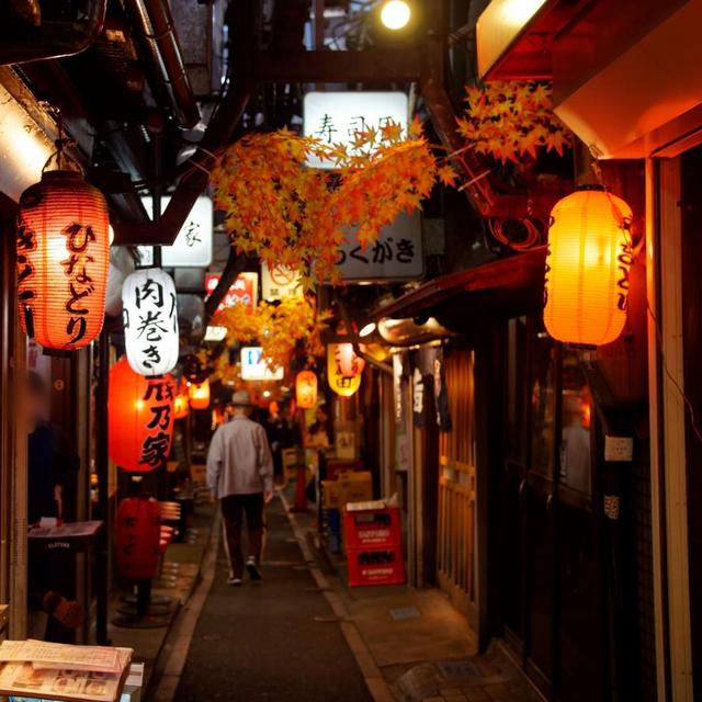 Honeymoon Fund - Japan (Credit)