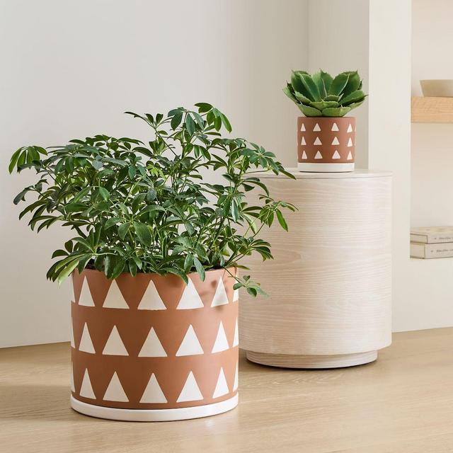 Diego Olivero Rio Terracotta Indoor/Outdoor Cache Pots - Triangle