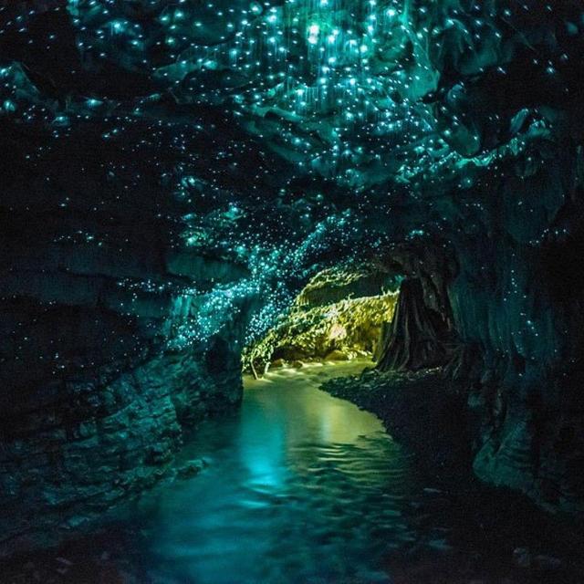 Cave Tubing Through Waitomo Glow Worm Caves - New Zealand