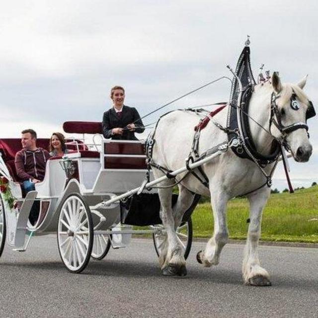 Cruise Excursion: Victoria by Horse-Drawn Trolley