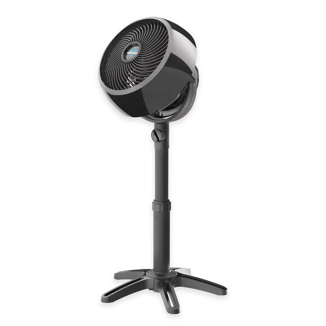 Vornado® Vortex Full-Size Air Circulator with Adjustable Stand