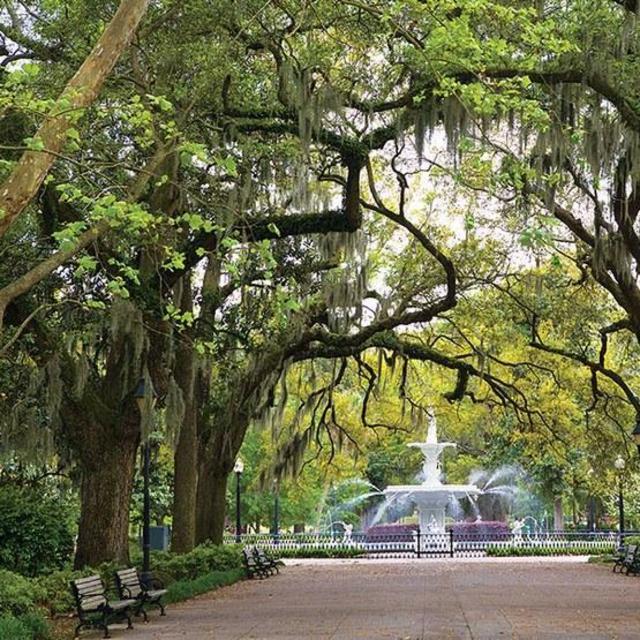 Honeymoon in Savannah