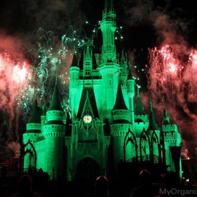 Disney Honeymoon Halloween 2015