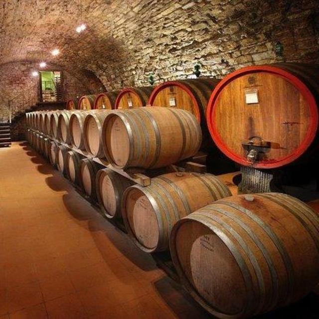 Wine-Tasting in Tuscany