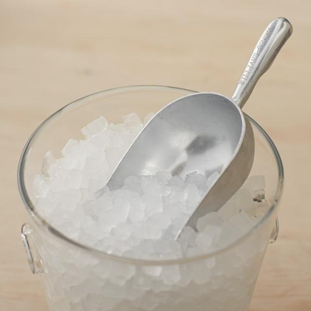 Williams-Sonoma Cast Aluminum Scoop, 12oz