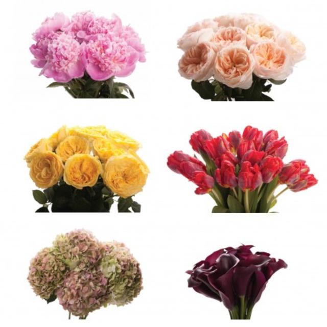 Flower Muse Subscription