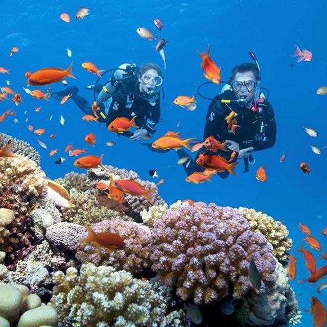 Scuba Diving For 2 On Our Honeymoon