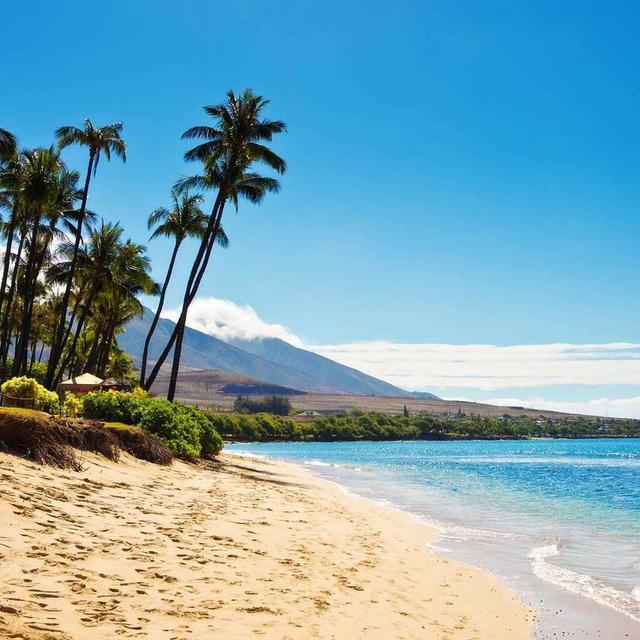 Hawaiian Honeymoon