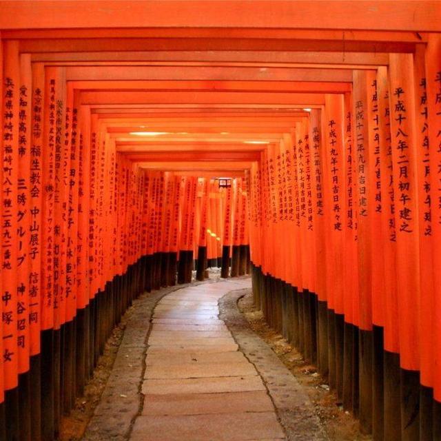 Honeymoon in Japan! General FUN Fund :)