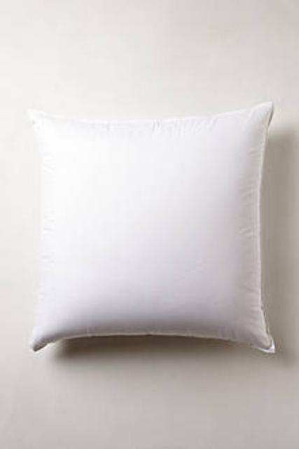 Guest Room: Down Alternative Euro Sham Insert