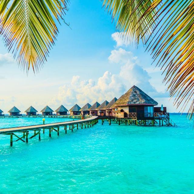 Honeymoon Fund