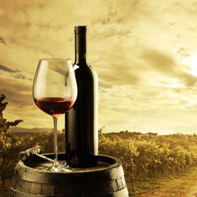 Wine Tasting in La Rioja, Spain