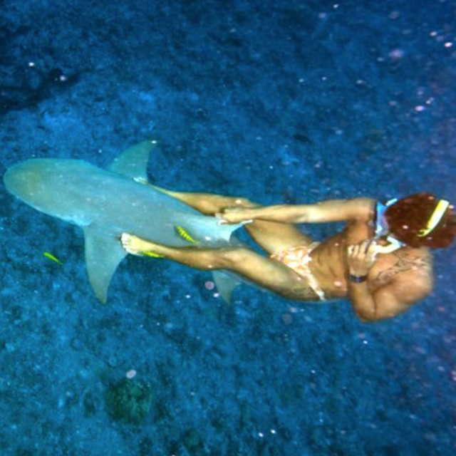 Swim with Sharks & Sting Rays in Bora Bora