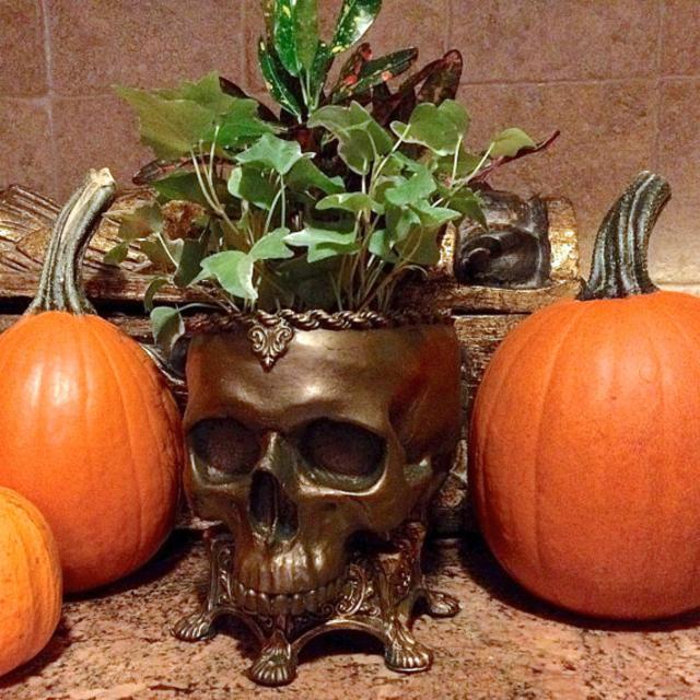 Human Skull Planter, Bronze Finish