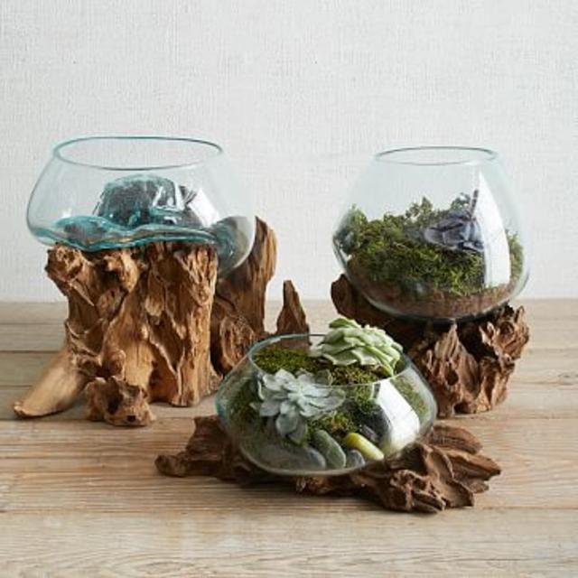 Wood + Glass Terrariums, medium