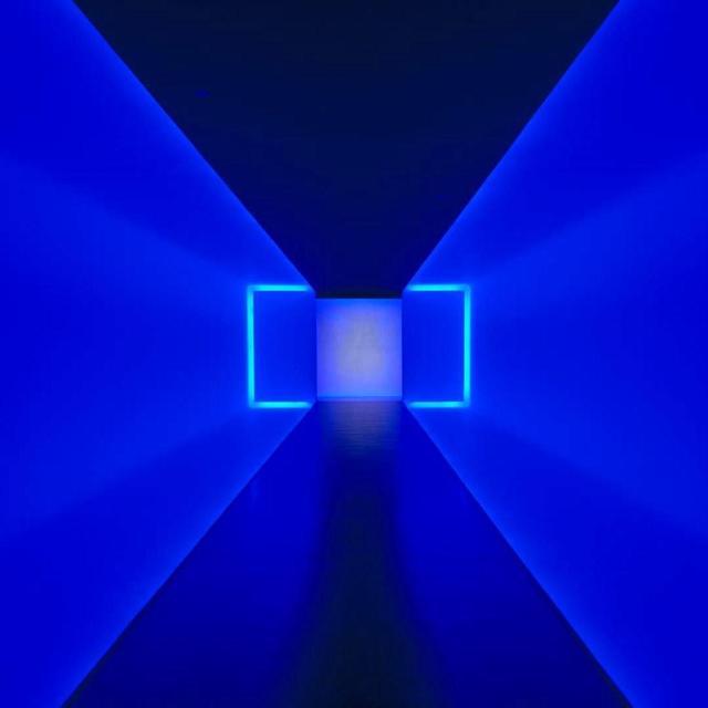 Dual Year-Long Membership to the Museum of Fine Arts Houston