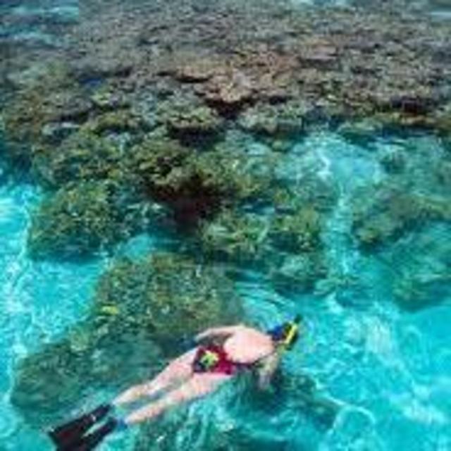 Honeymoon Excursion - Snorkeling