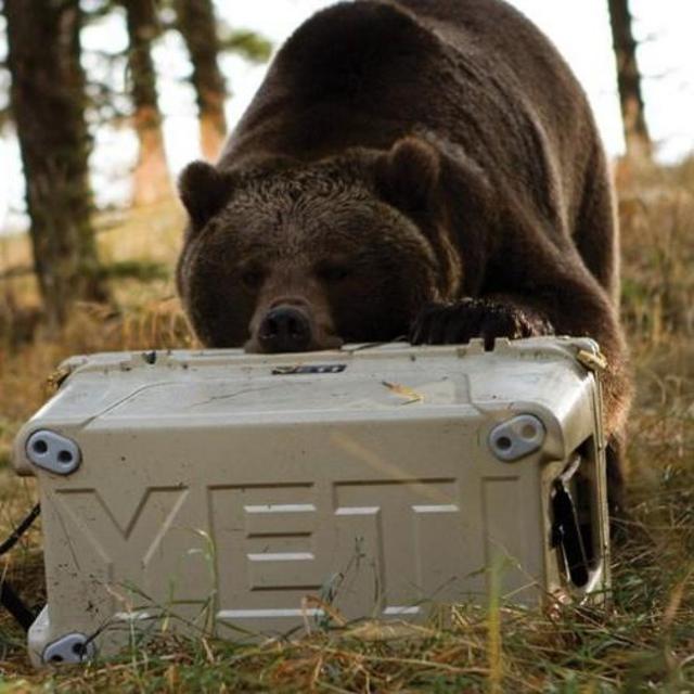 YETI Tundra 65 Cooler