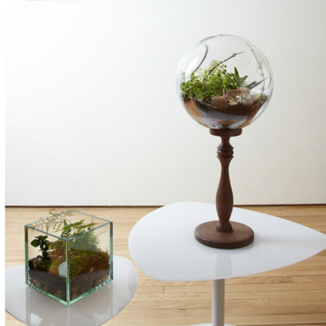 Date Night Terrarium-Making Workshop at Twig Brooklyn