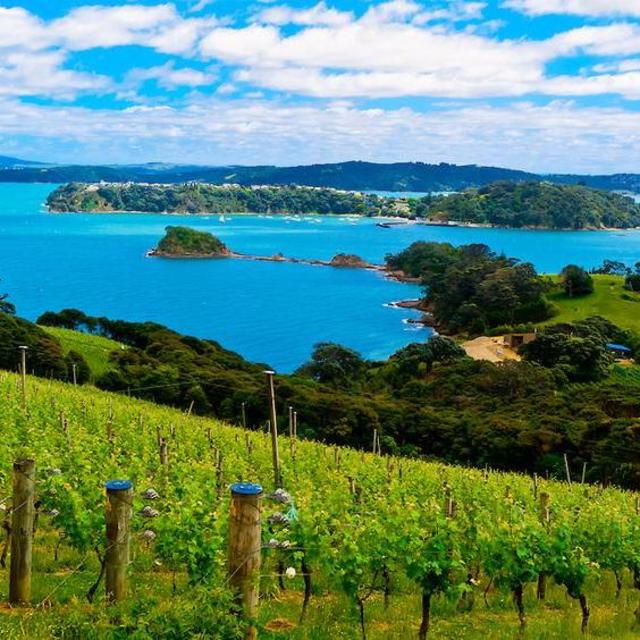 VINEYARD AND WINE TOUR AT WAIHEKE ISLAND NEW ZEALAND