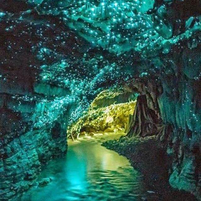 GLOW WORM CAVING EXCURSION WAITOMO, NEW ZEALAND