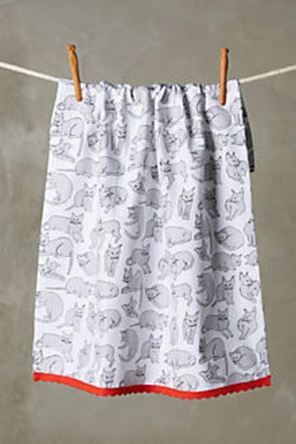 Cat Study Dishtowel