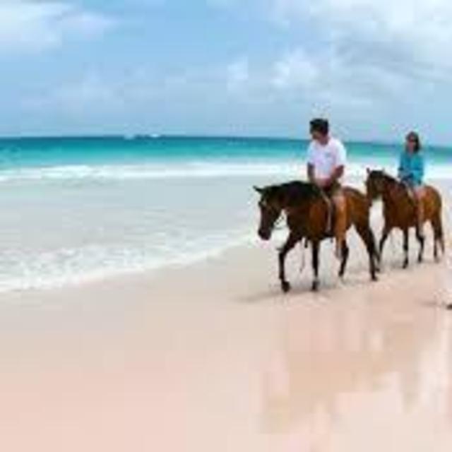 Horseback Ride on the Beach