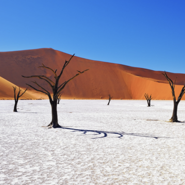 Deadvlei Camping Tour for Two