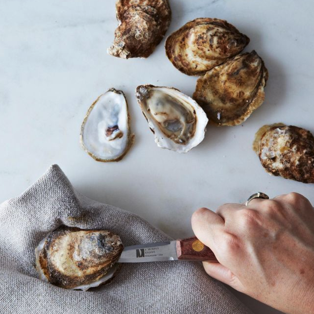 R. Murphy Wellfleet Oyster Knife
