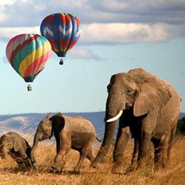Hot Air Balloon Ride in Kenya