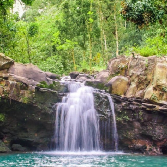 Maui Waterfall & Rainforest Hiking Adventure